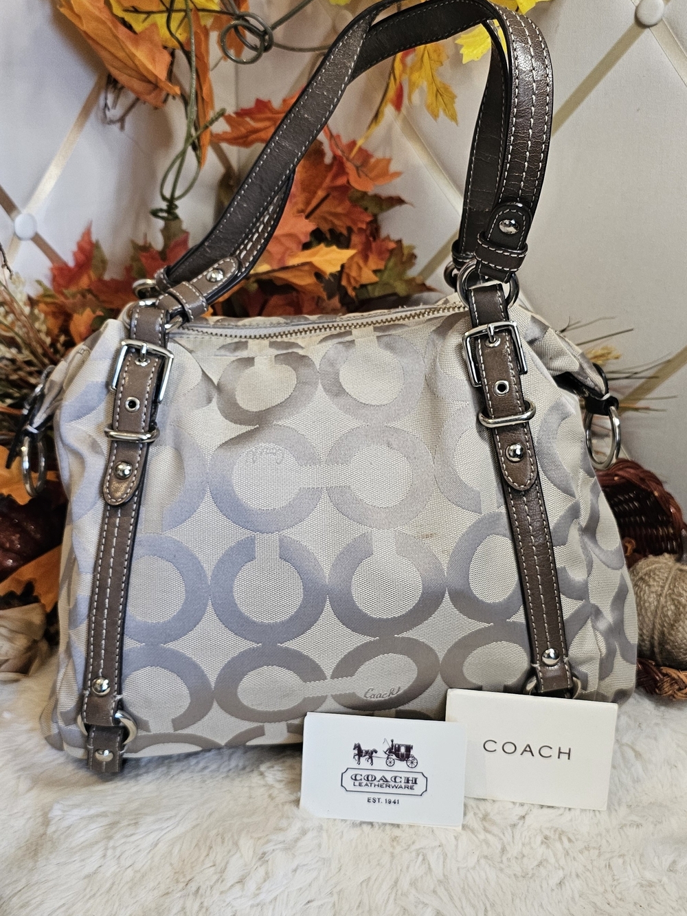 Coach Signature Canvas Tote Bag in Light Gray and Taupe